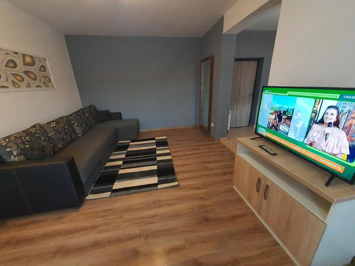 Villa Accommodation Bucharest Apartment