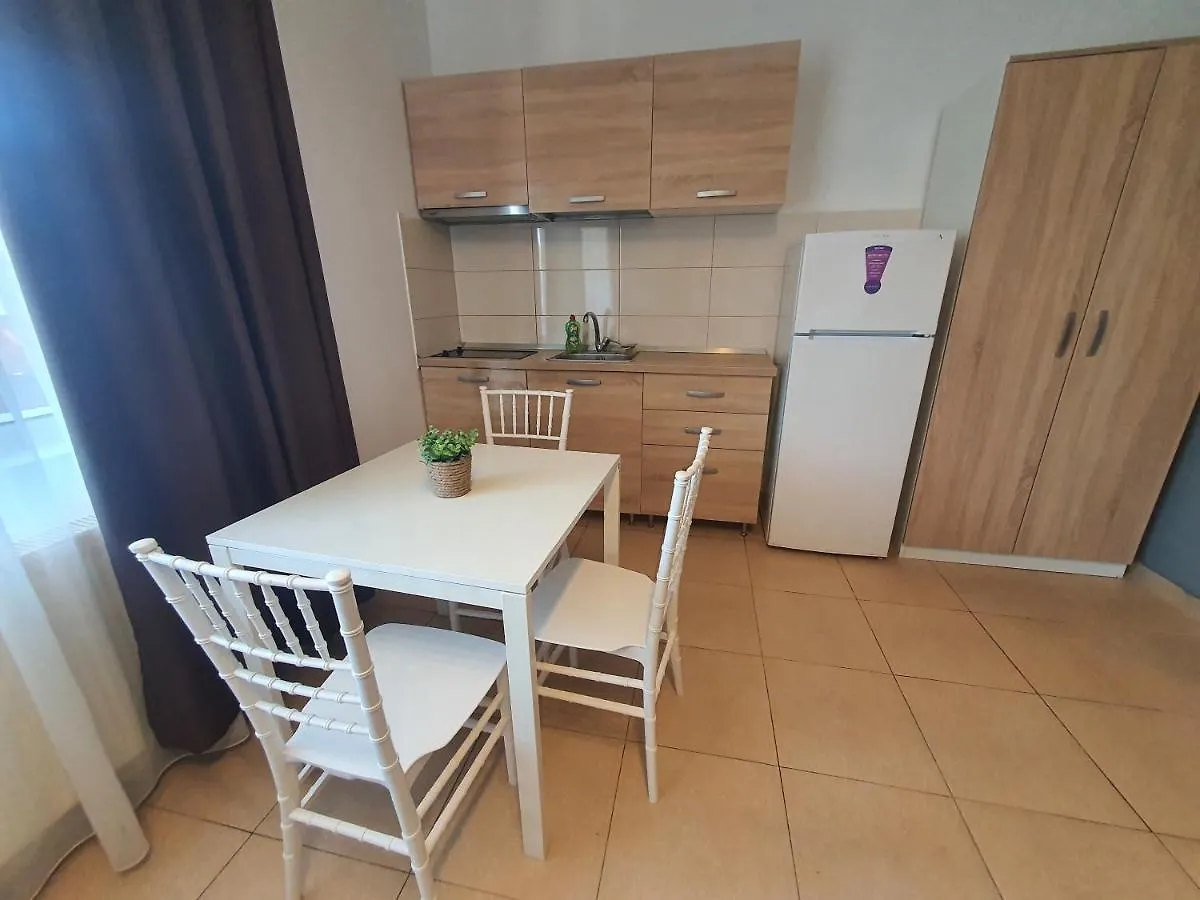 Apartment Villa Accommodation Bucharest