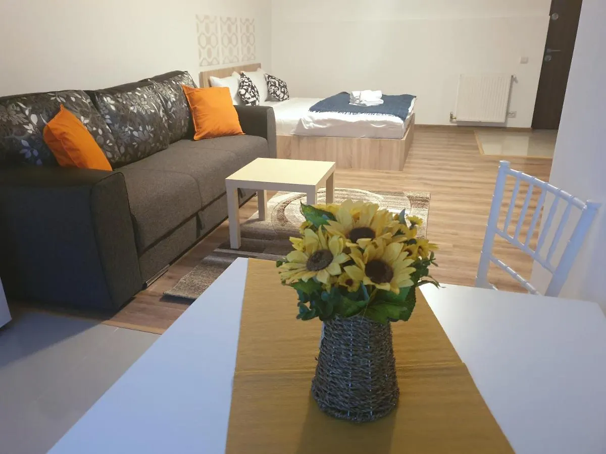 Apartment Villa Accommodation Bucharest