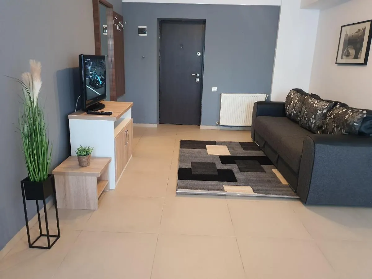 Villa Accommodation Bucharest Apartment